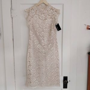 Enfocus Studio Lace Illusion Sheath Dress NWT